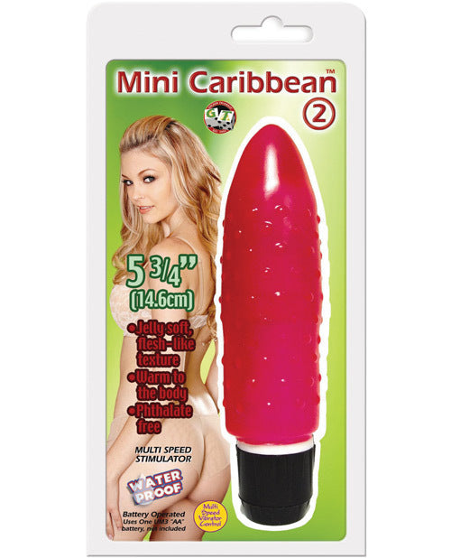 Mini Caribbean Vibe #2 - Pink